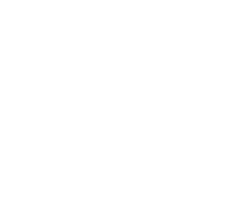 Nexus Prep logo - reverse